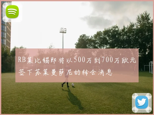 RB莱比锡即将以500万到700万欧元签下苏莱曼萨尼的转会消息